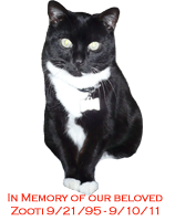 In memory of our beloved Zooti